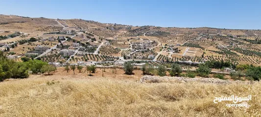  1 ارض 4 دونم، في بيرين قرب شفا بدران عمان