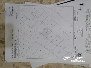  4 ارض للبيع في عين الباشا على مسطح صالح للبناء بيع من المالك مباشرة السعر قابل للتفاوض بشيء بسيط