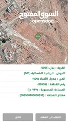 2 قطعة أرض مميزة  بدر الجديدة - بلال - الرباحية الشمالية