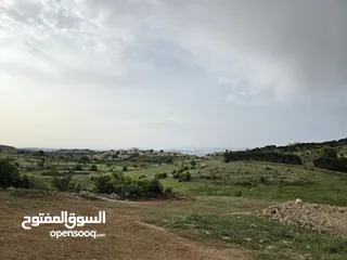  17 غرب سوف سهلات الغربيه قرب قصر السفير الاماراتي منطقه فلل و مزارع راقيه