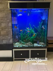  2 حوض سمك كبير للبيع