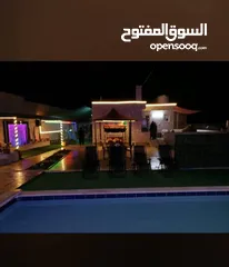  4 مزرعة بدران تستقبلكم طيلة ايام الاسبوع 24/7