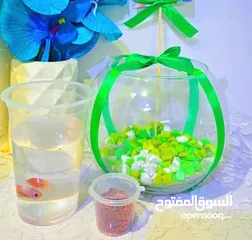  5 احواض سمك زينه بأحجام وأشكال مختلفة
