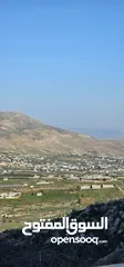  1 أرض اليوم استثمار المستقبل