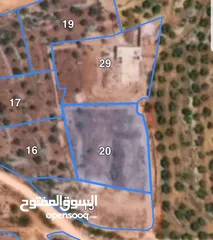  1 أرض بناء للبيع