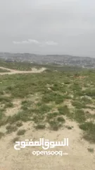  10 قطعة ارض مربعة الشكل في زواتا