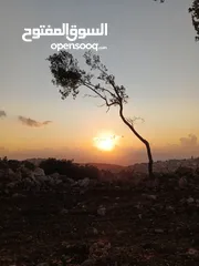  6 قطع اراضي في عجلون للاستثمار