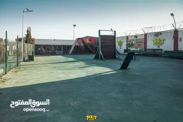  13 فندق ومركز تدريب للكلاب