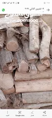  15 تشكيلة حطب للبيع