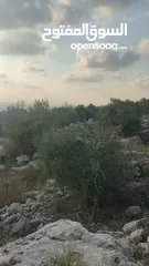  4 قطعة ارض مطلة عالساحل