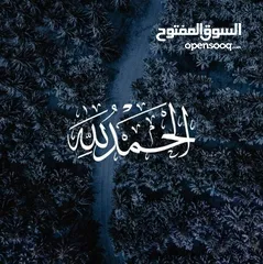  1 جوز حمام ماسي تحته بيض مع قفص ثلاث معالف للبيع او البدل على جواز جنة