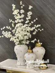  2 مزهرية وفازات بعدة موديلات