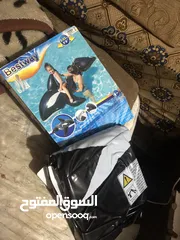  2 بلون البحر دلفيل