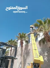  2 قص وتقليم اشجار النخيل