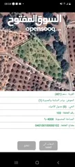  2 قطعة أرض مشجرة بالزيتون مفروزة 4 دونومات على شارعين للبيع من المالك مباشرة بسعر 65000دينار صافي