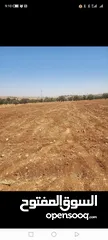  2 للبيع قطعه ارض رحاب البويضة  طريق اربد الزرقاء تبعد عن شارع الرئيسي كيلو  قطعه مميزه منطقة مزارع و ش