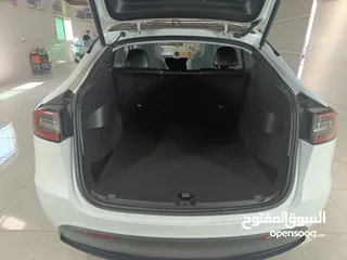  2 Tesla Y 2022 performance