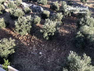  6 قطعة أرض مميزة في بدر الجديدة للبيع بسعر مغري