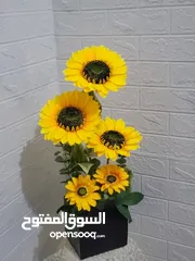  5 روز باتيلز