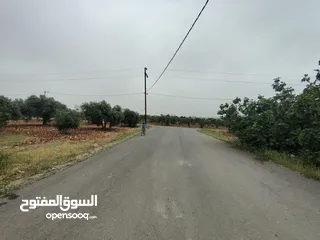  6 ارض سكنيه للبيع في مرو