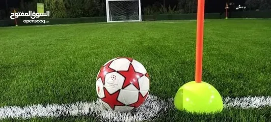  16 عشب ملاعب / عشب حدائق / عشب مدارس / عشب مزارع / عشب صناعي/ نجيل / تارتان Playground grass