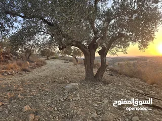  2 ارض لقطه لبناء فيله اطلاله غربيه