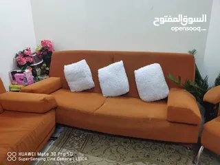  2 Sofa’s cum Beds