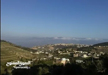  3 مزرعة شالية