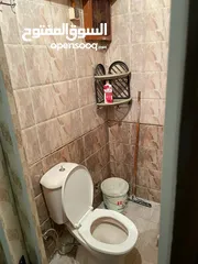  27 Studio for rent in Zamalek furnished for daily rent first floor without elevator