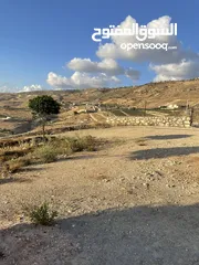  19 مزرعة في مغاريب السلط من المالك مباشرة