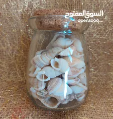  24 نثريات وانتيكا