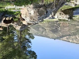  3 صيدلية قائمه للبيع
