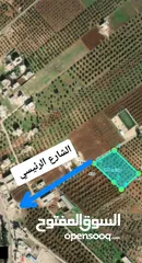 1 ارض مزروعه زيتون كامله للبيع في حبراص