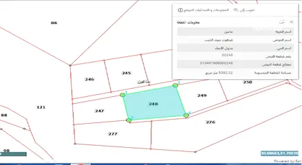  22 مادبا ماعين قطعة أرض زراعية مميزة مطلة على البحر الميت والضفة الغربية بمساحة 21 دونم