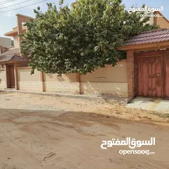  4 عقار سكني تجاري في بوابة الجبس