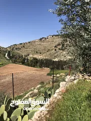  9 ارض لبيع دنمين وميتين وسبعه وسبعين متر بي جانب اسكان الداودي يمكن شراء جزء من الارض او فرزها