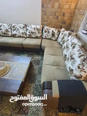  2 تخم قنفات 5 قطع بصره