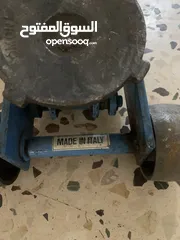  2 جم تمساح ايطالي للبيع