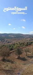  16 10 دونم موقع خرافي قمه جبل منطقه فلل و قصور عاليه و كاشفه عبين