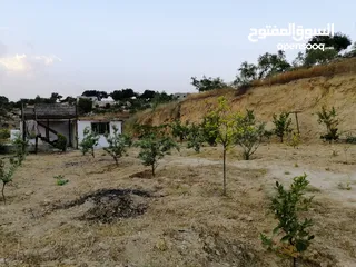  8 مزرعة في اربد كفر اسد للبيع