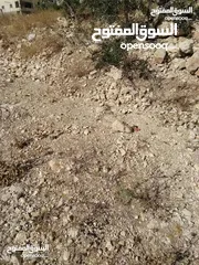  6 ارض بناء للبيع في صوريف / البستان