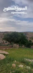  3 الكمشه حوض المكمان 3405 م على شارعين اطلاله شماليه غربيه رائعه مستصلحه ومسوره قرب الخدمات