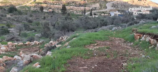  14 800متر طابوا فلسطيني في اجمل موقع بالكفريات واطلالة مميزةمنطقة( b)صالحة للبناء