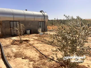  10 قطعة أرض وبيتين  ومزرعه جاهز للسكن