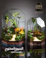  9 Terrarium fresh flower