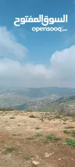  1 ارض من أجمل واهدء اراضي عمان باطلاله خلابه