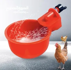  2 حوض شرب لدجاج