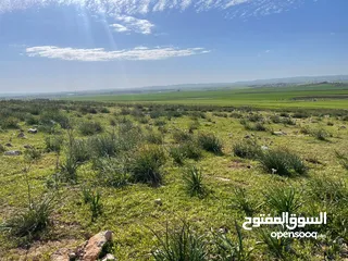  2 ارض للبيع حوض الجبيل وارض حوض ام الابار جنوب شارع الصوامع وقرب مدارس الجسور متوفر اكثر من قطعة