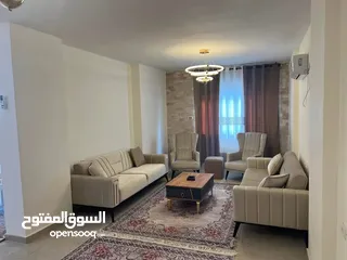 2 شقه مفروشه للايجار في المصيون قرب برافو مول
