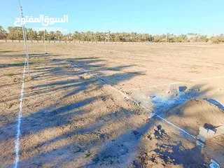  9 قطع اراضي ودوانم للبيع ملك صرف زراعي سند 25  العنوان/ديالى الخالص جديدة جديدة الاغوات